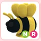 NR KIng Bee