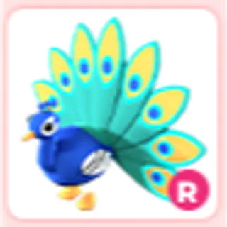 R Peacock