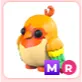 MR Love Bird