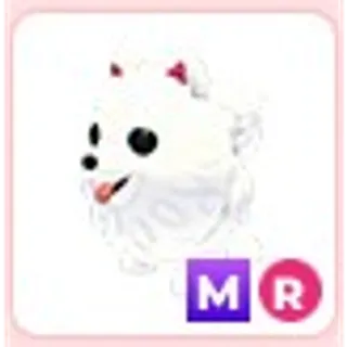 MR Samoyed