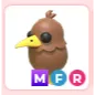 MFR Kiwi