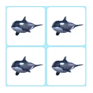 4x Orca