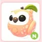 N Peach Owl