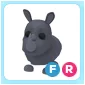 FR Rhino