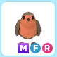 MFR Robin