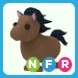 NFR Horse