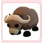 Musk Ox