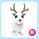 R Arctic Reindeer