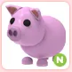 N Pig