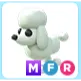 MFR Poodle