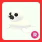 R Harp Seal