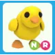 NR Chick