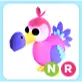 NR Dodo