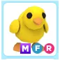 MFR Chick