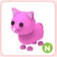 N Pink Cat