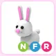 NFR Bunny