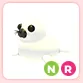 NR Harp Seal