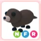 NFR Otter