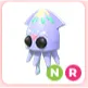 NR Squid
