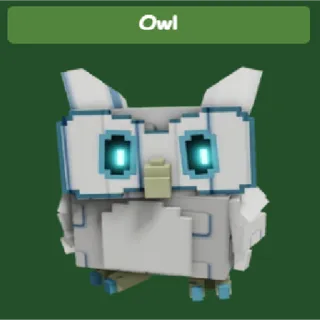 Owl
