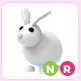 NR Rabbit