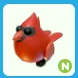 N Red Cardinal