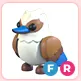FR Kookaburra