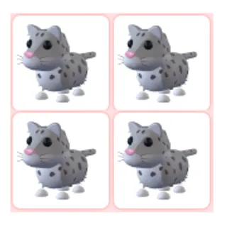 4x Snow Leopard