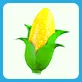 Golden Corn