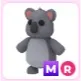 MR Koala