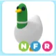 Pet | NFR Silly Duck