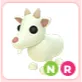 NR Goat