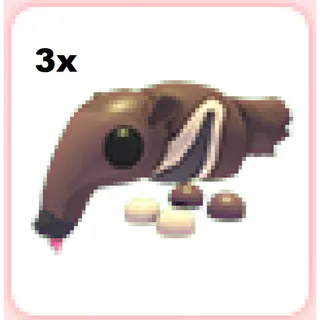 3x Giant Anteater