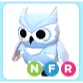 NFR Snow Owl