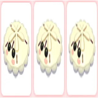 3x White Sand Dollar