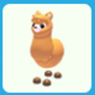 Alpaca