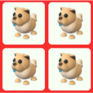 4x Tan Chow-Chow