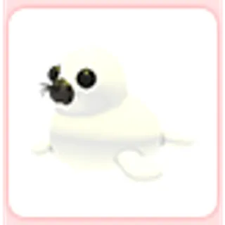 Harp Seal