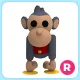 R Toy Monkey