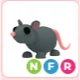 NFR Rat