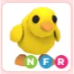 nfr chick