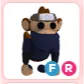 FR Ninja Monkey