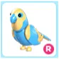 R Diamond Amazon