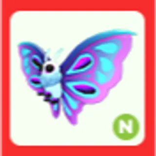 N Moonlight Moth