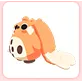 Cabbit