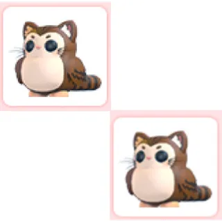 2x Purrowl