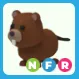 NFR Beaver