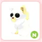 N Ghostly Cat