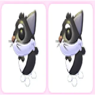 2x Tuxedo Cat