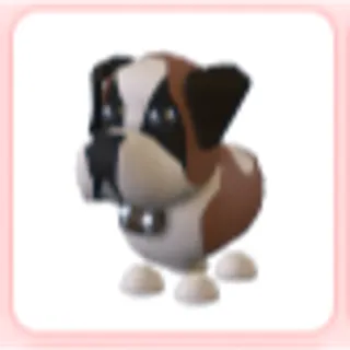 St Bernard
